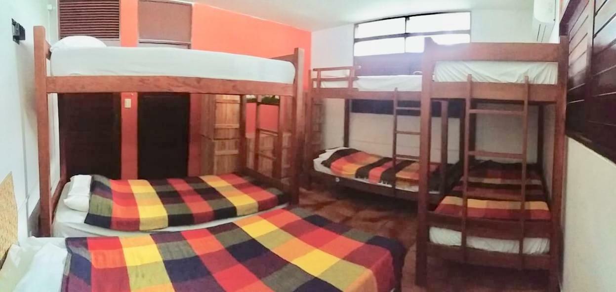 Frederica Hostel E Pousada João Pessoa Dış mekan fotoğraf